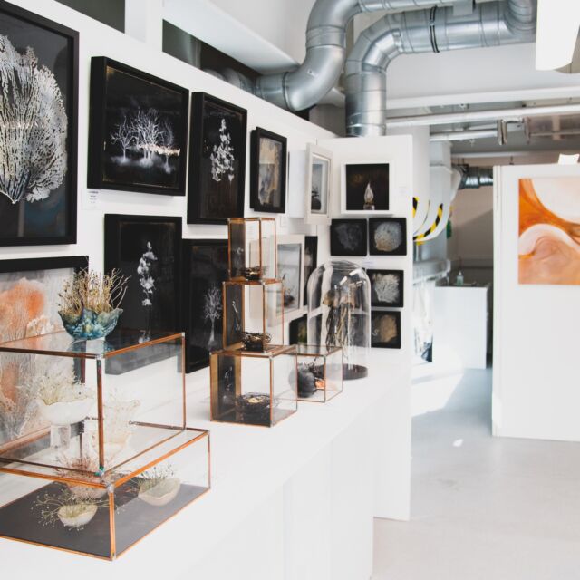 As well as publishing edition 12 of The FLUX Review magazine we are busy preparing for the 12th @fluxehibition in Marylebone Road 17th - 20th July. 

Free Tickets Eventbrite